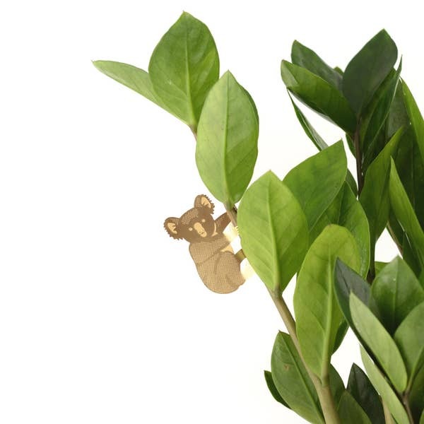 Plant Animal | Koala