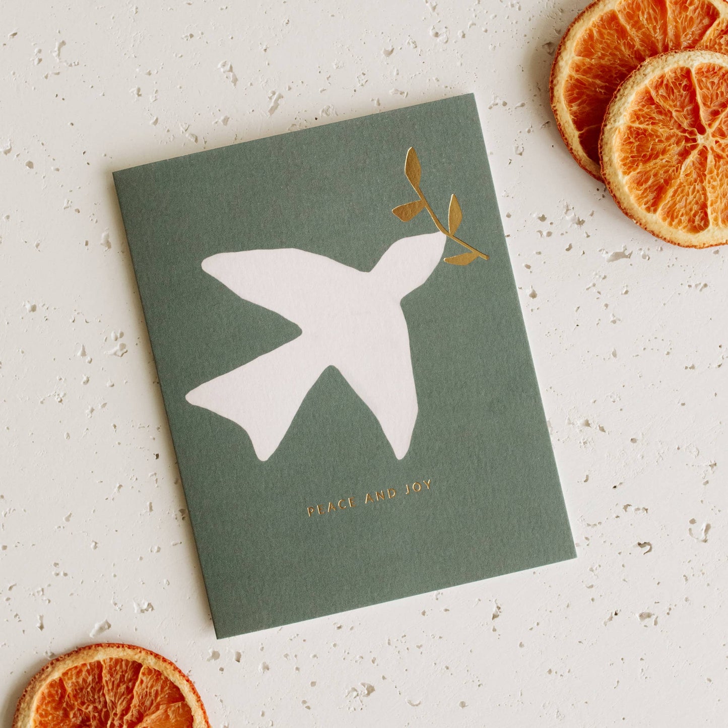 Peace & Joy Dove Card | Boxed Set of 6