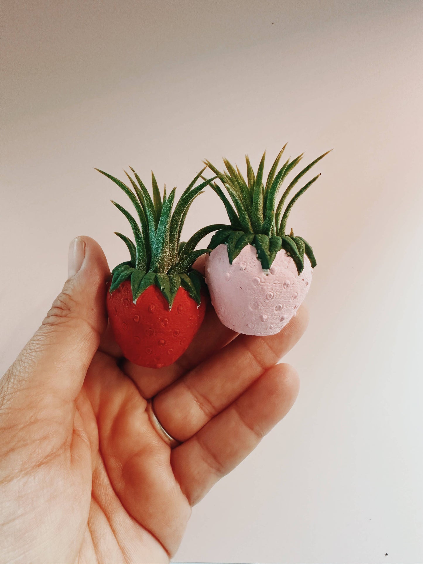 Red Strawberry Patch Mini Planter & Air Plant