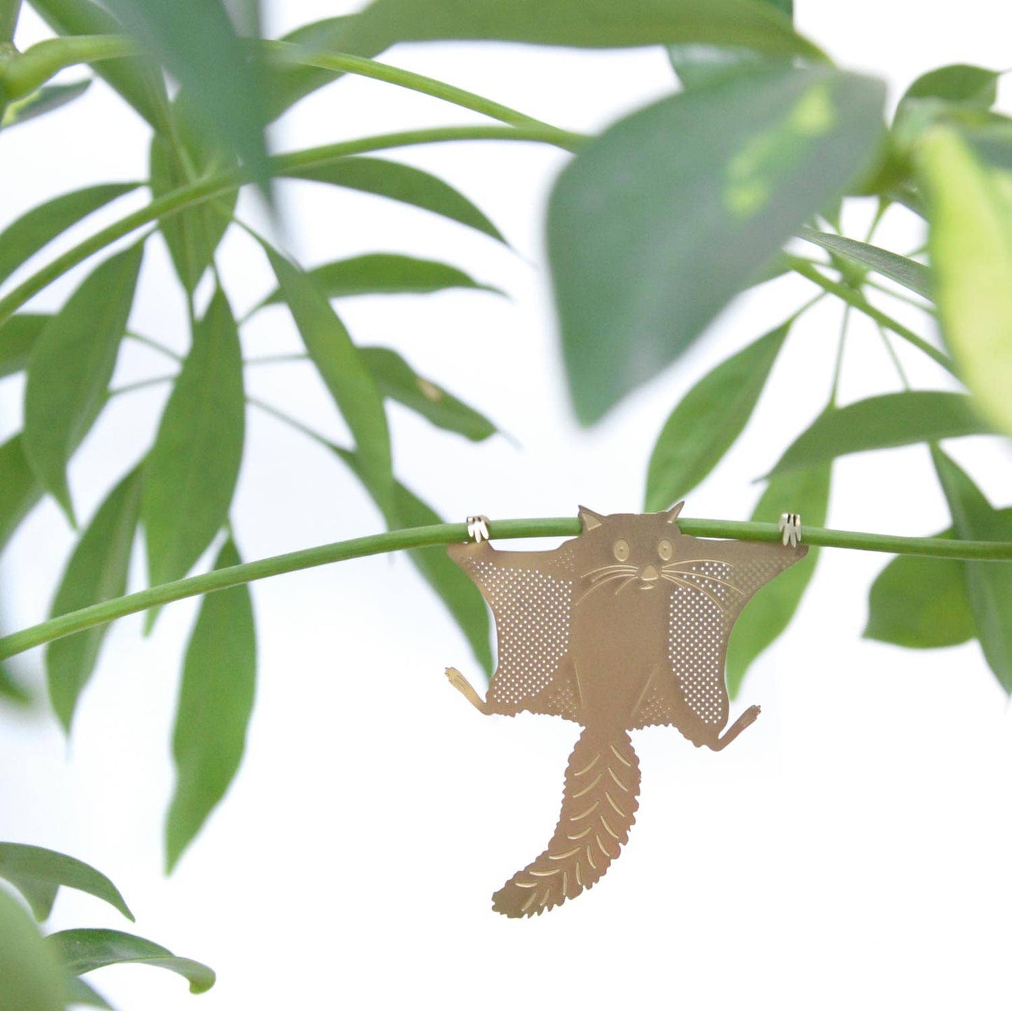 Plant Animal | Flying Squirrel