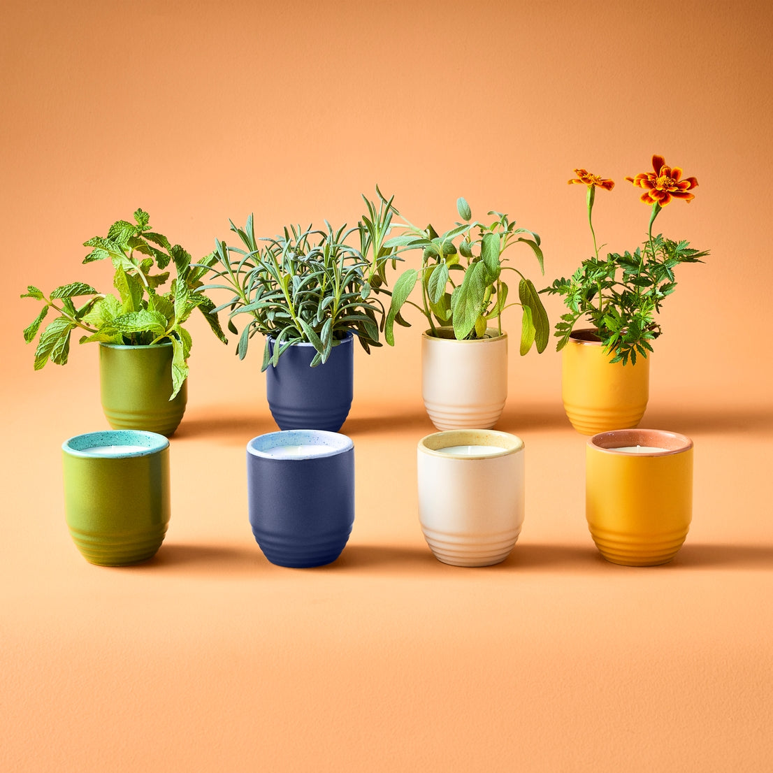 Garden Vibe Candles | Last Light