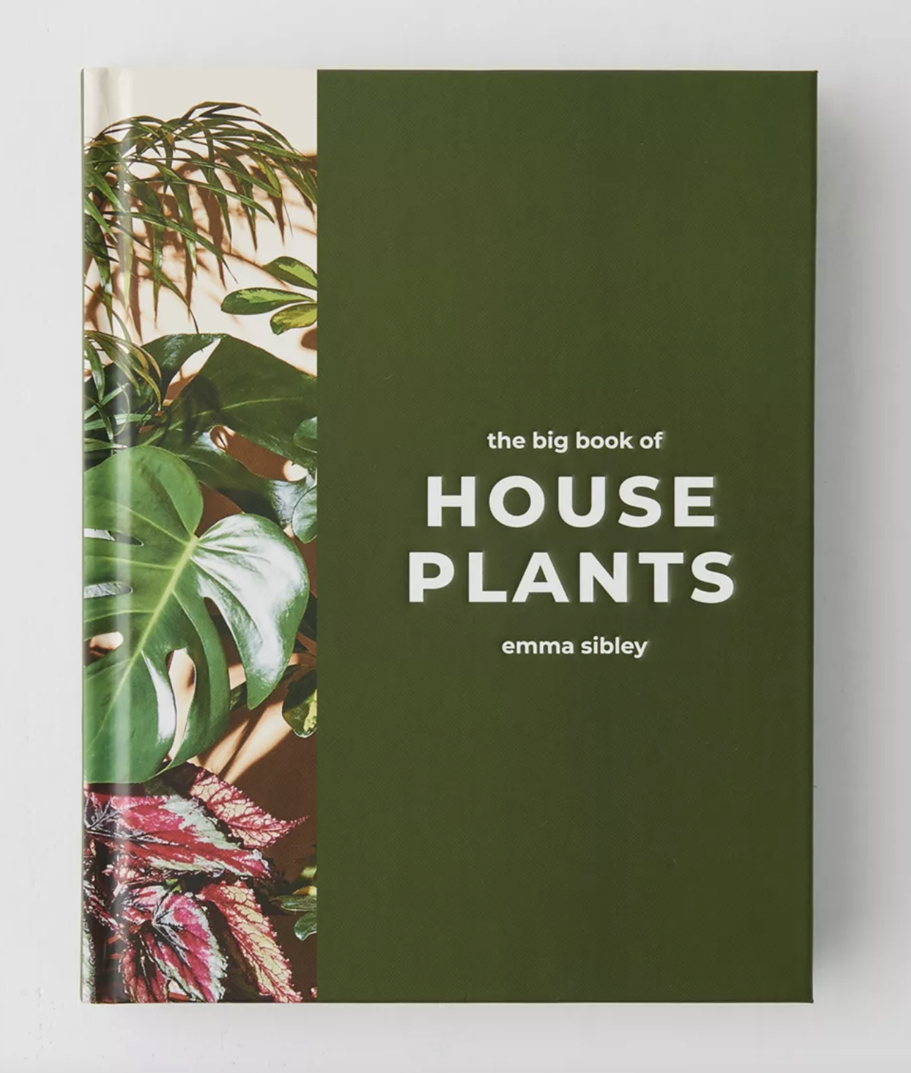 the big book of house plants Big Book of Houseplants