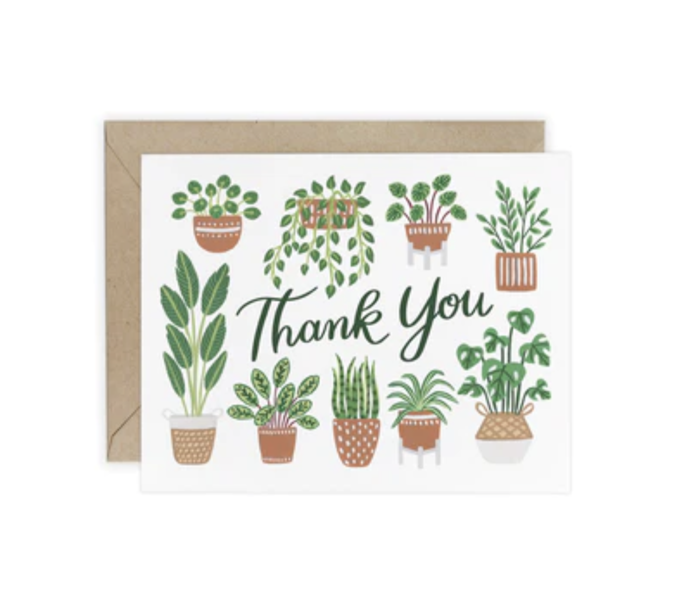 House Plants Thank You