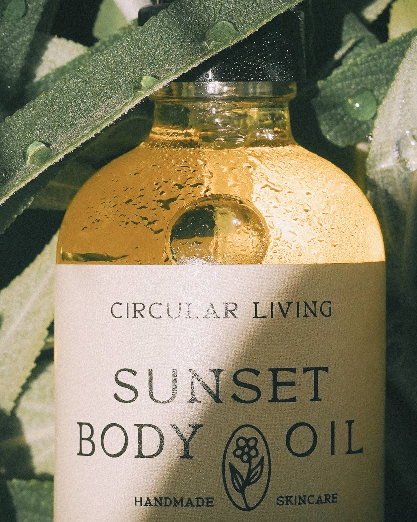 Body Oil | Sunset Clary Sage & Vetiver