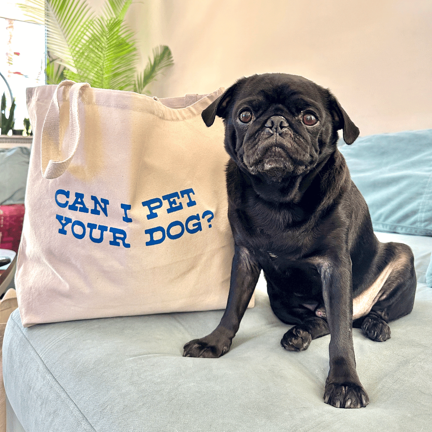 Can I Pet Your Dog Tote Bag