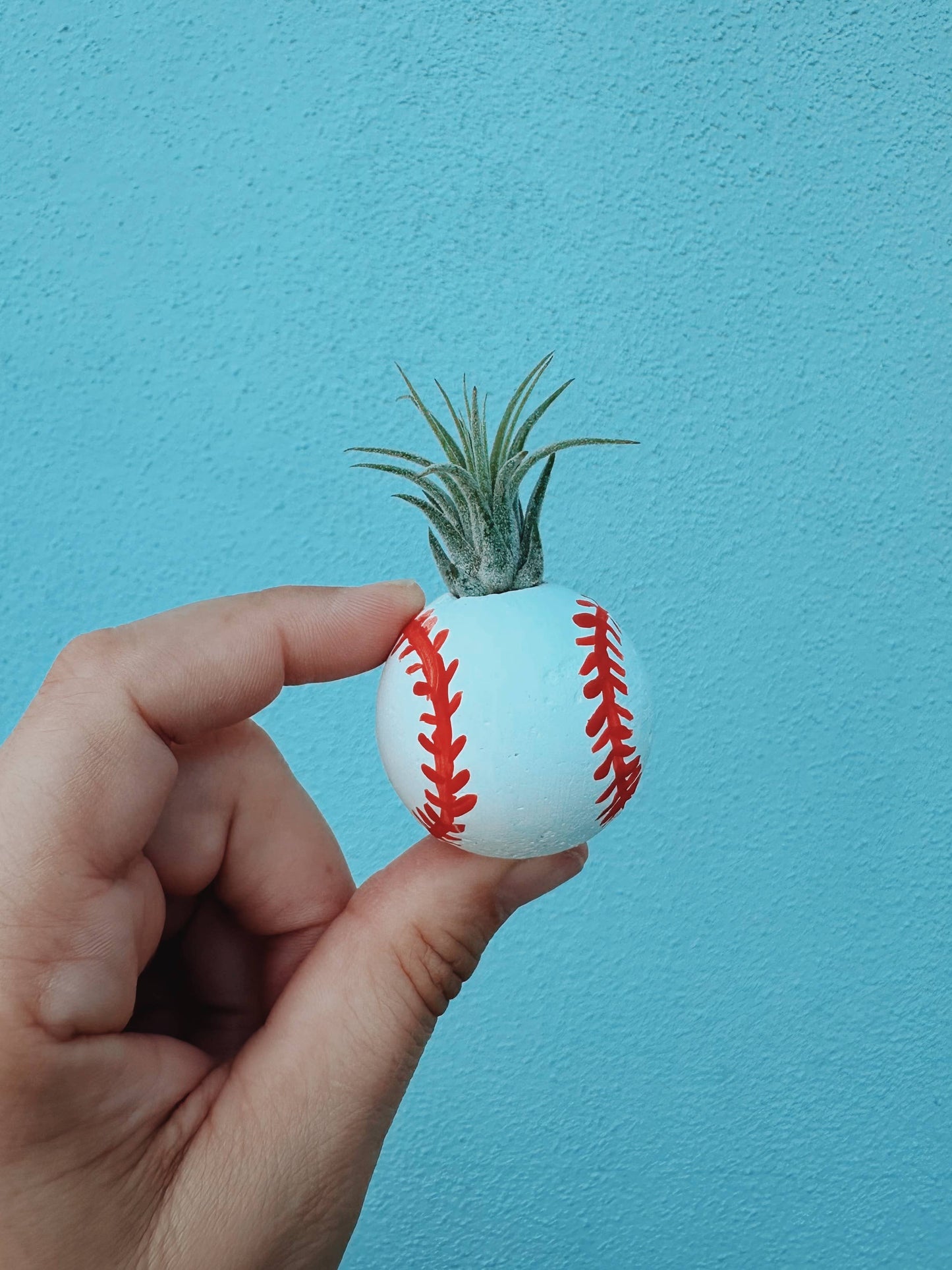 Baseball Mini Plant Pot with Plant