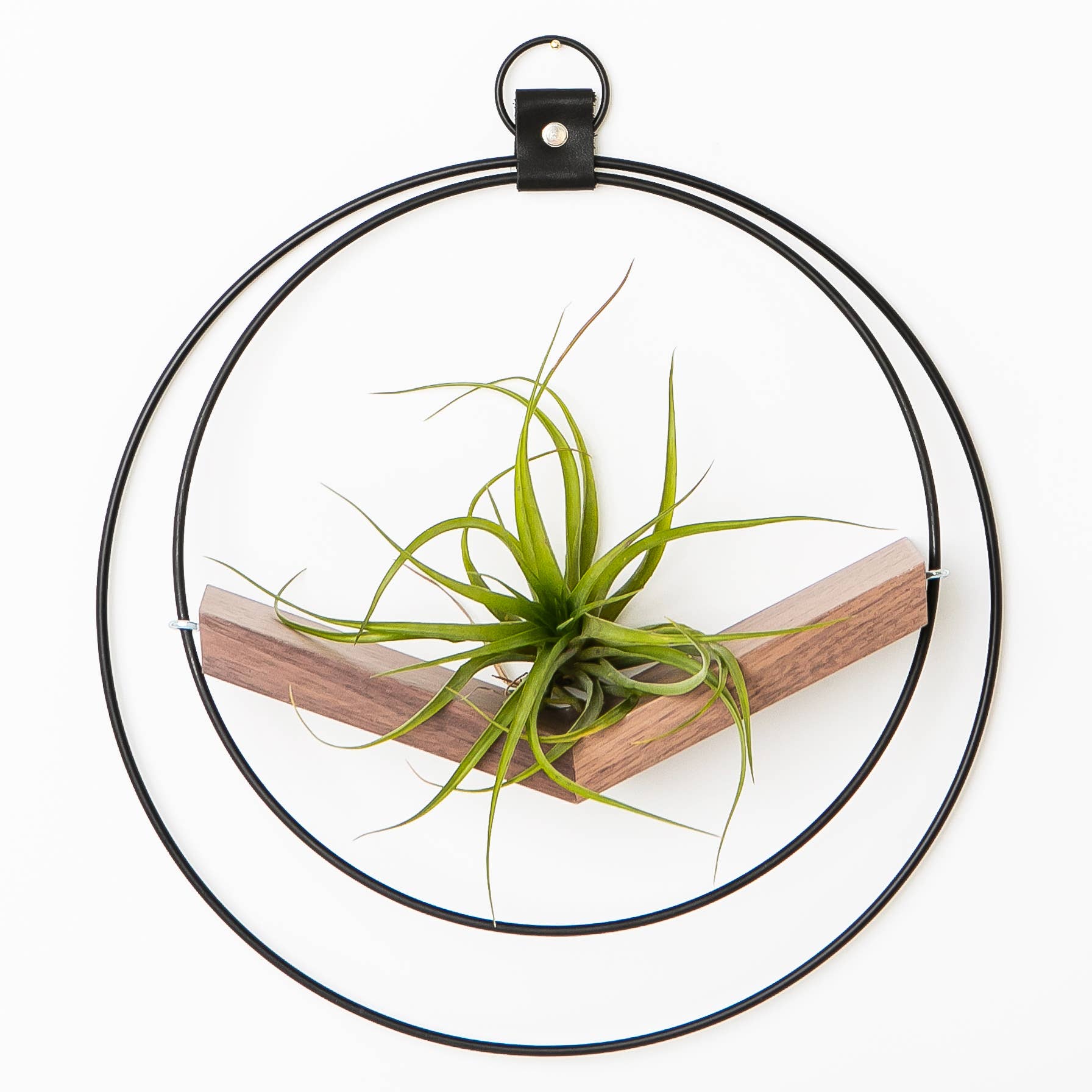 large air plant hanger Large Dark and Stormy V-Hanger Air Plant Holder – Small Batch