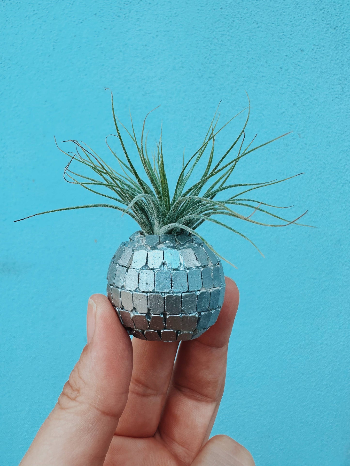 Disco Ball Mini Planter & Plant