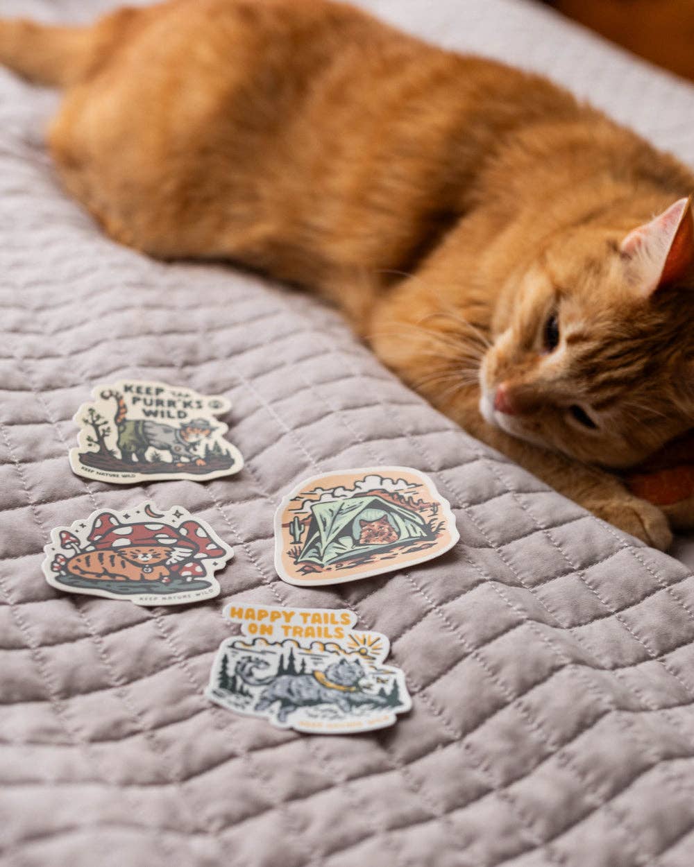 Happy Tails on Trails Cat | Sticker