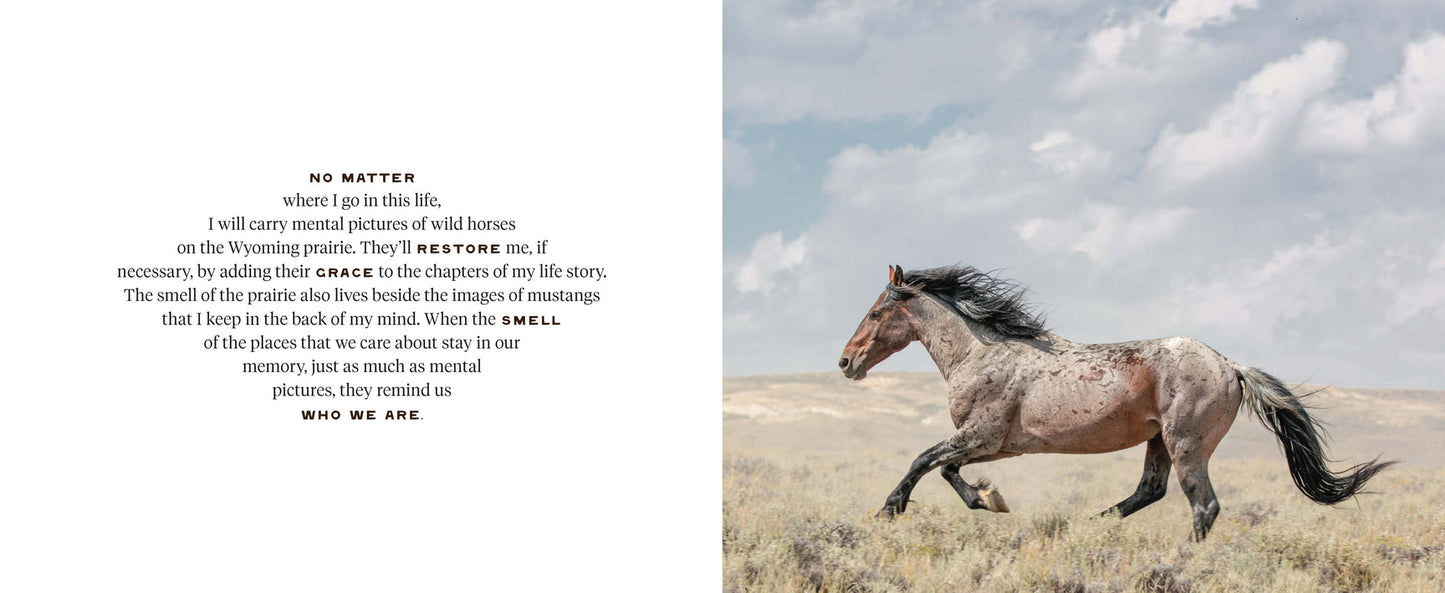 The Wild Horse Effect