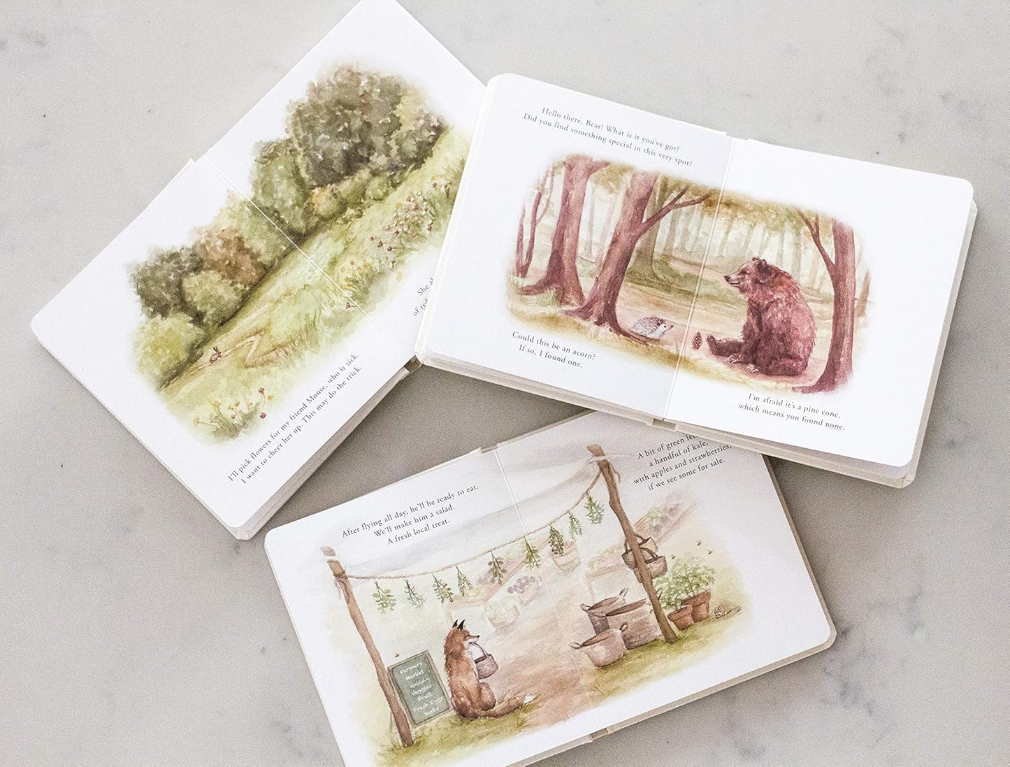 Our Little Adventures