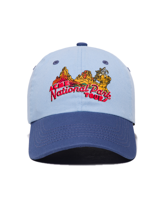 Looney Tunes x Parks Project Hat