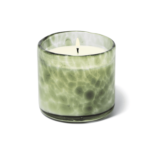 Paddywax Luxe 8 oz Candle | Tabac & Pine