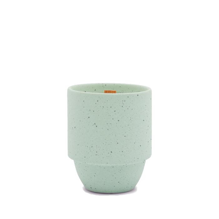 Paddywax Parks 11 oz Ceramic Yosemite Candle | Pacific Moss & Mist