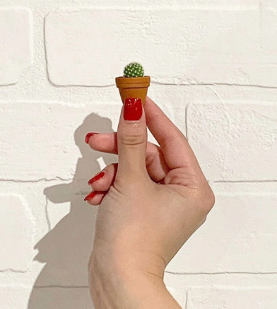 Tiny Cactus Kit