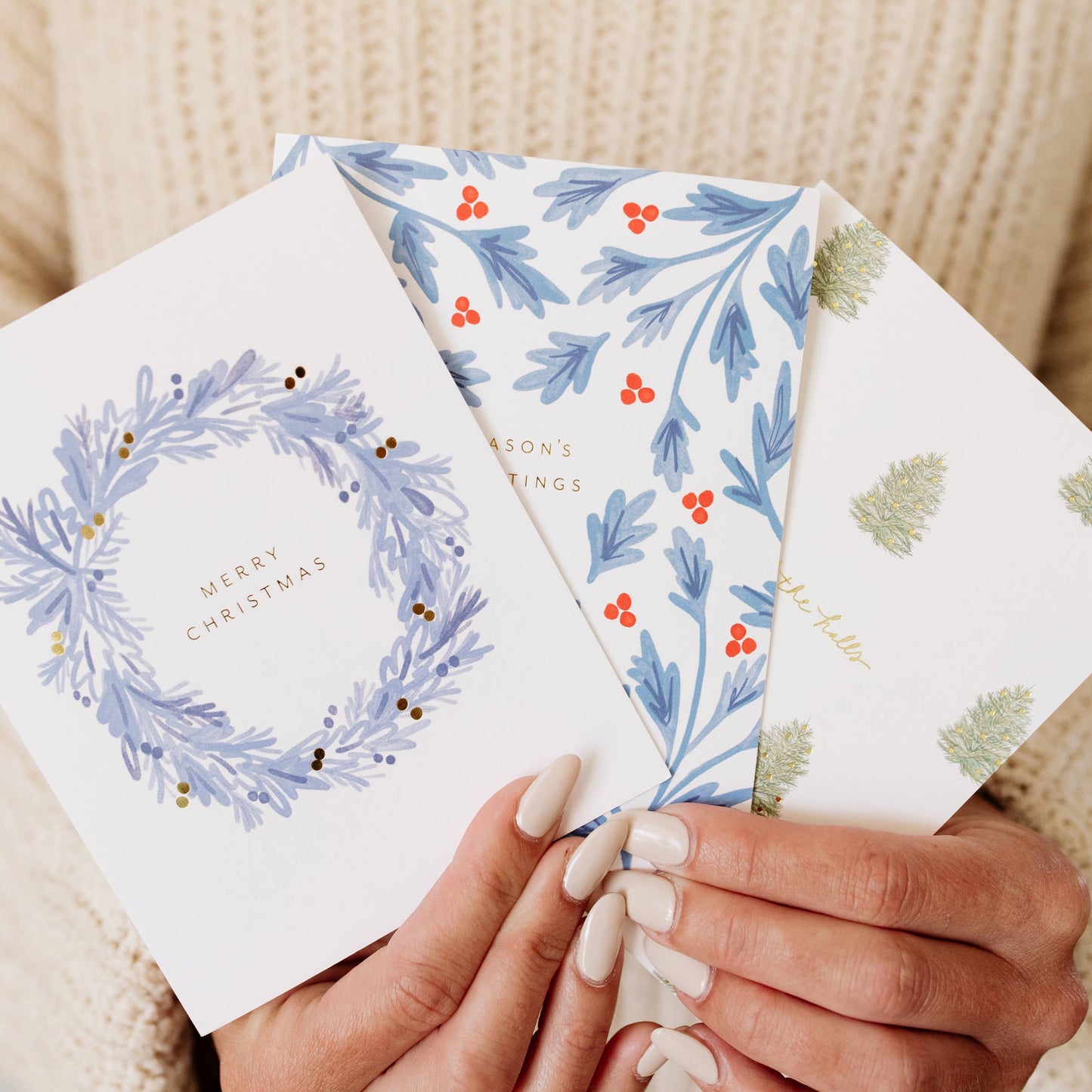 Seasons Greetings Holly Card | Boxed Set of 6
