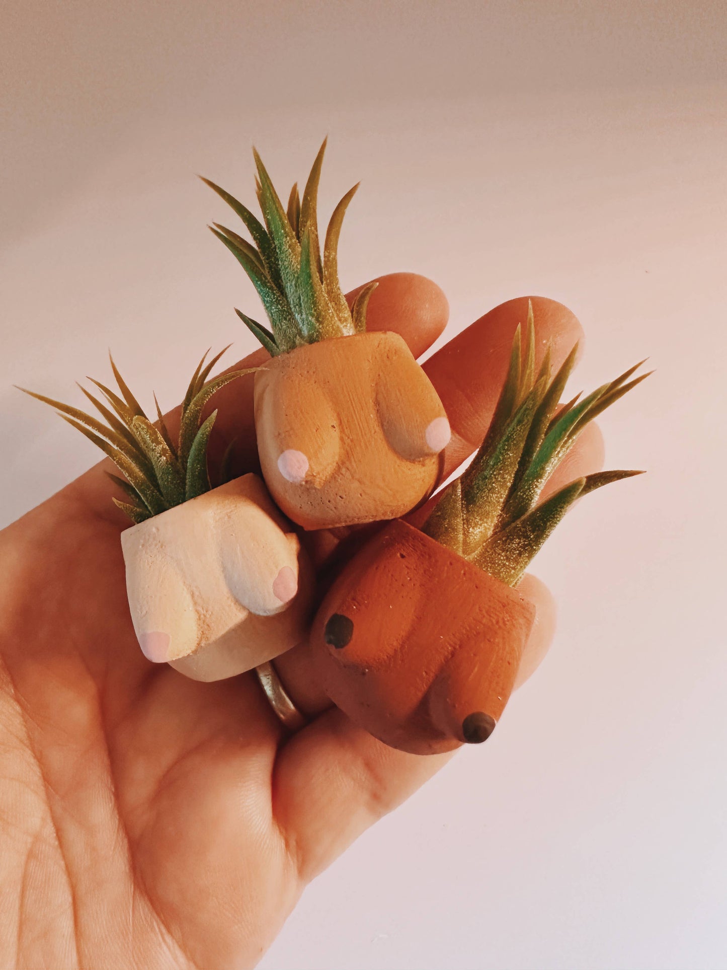 Parker Boob Mini Planter and Air Plant
