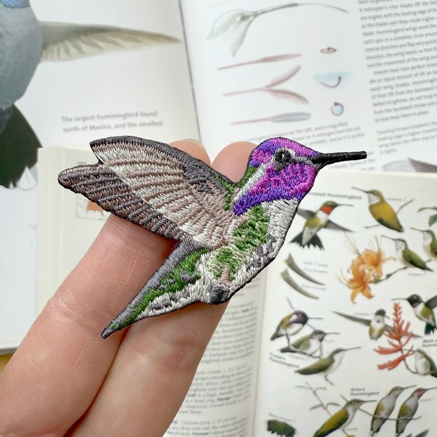 Costa's Hummingbird Patch