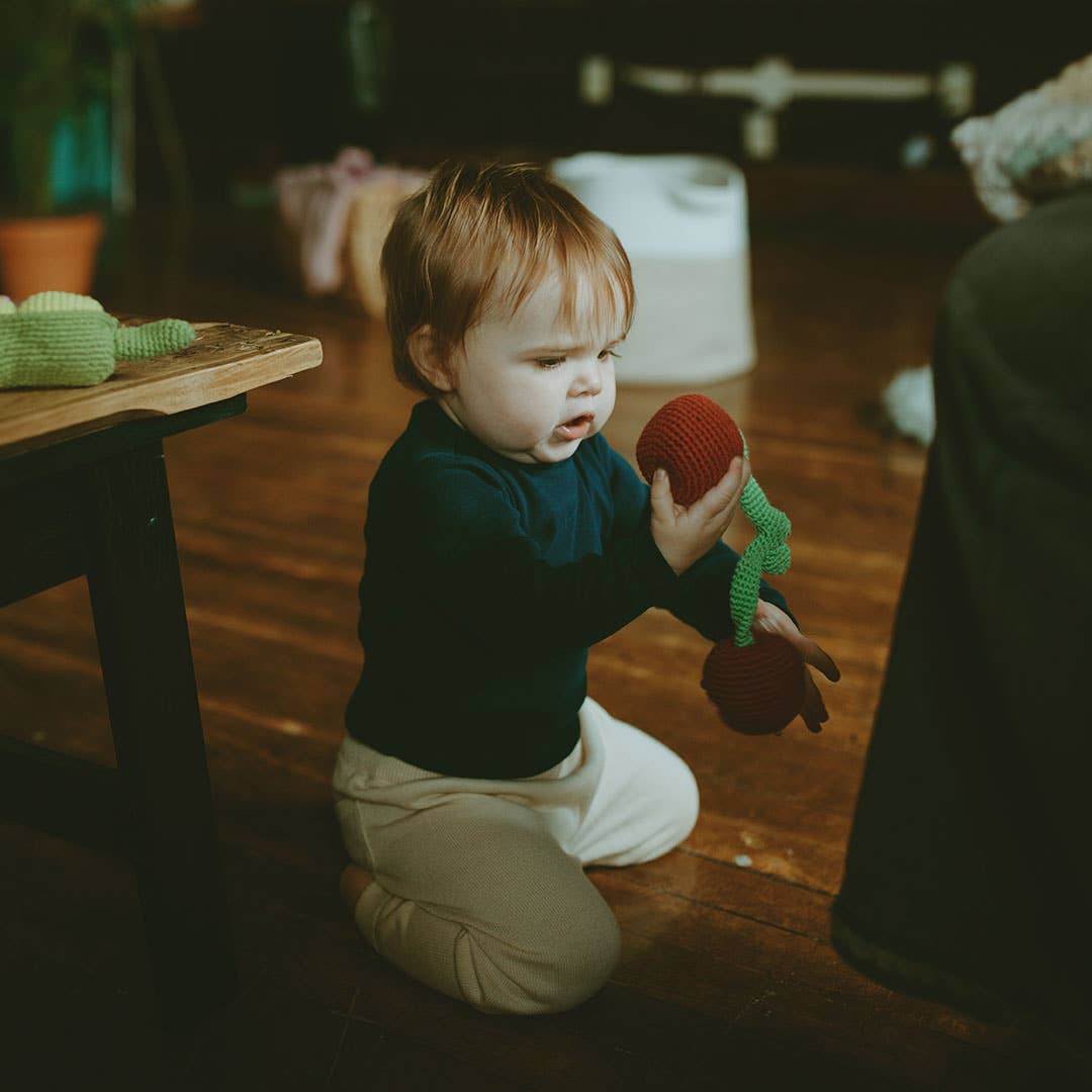 Cherry Pretend Play Food Rattle