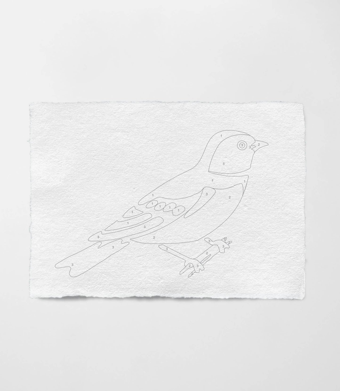 Bird Study : Swallow | Modern Paint By Numbers Kit