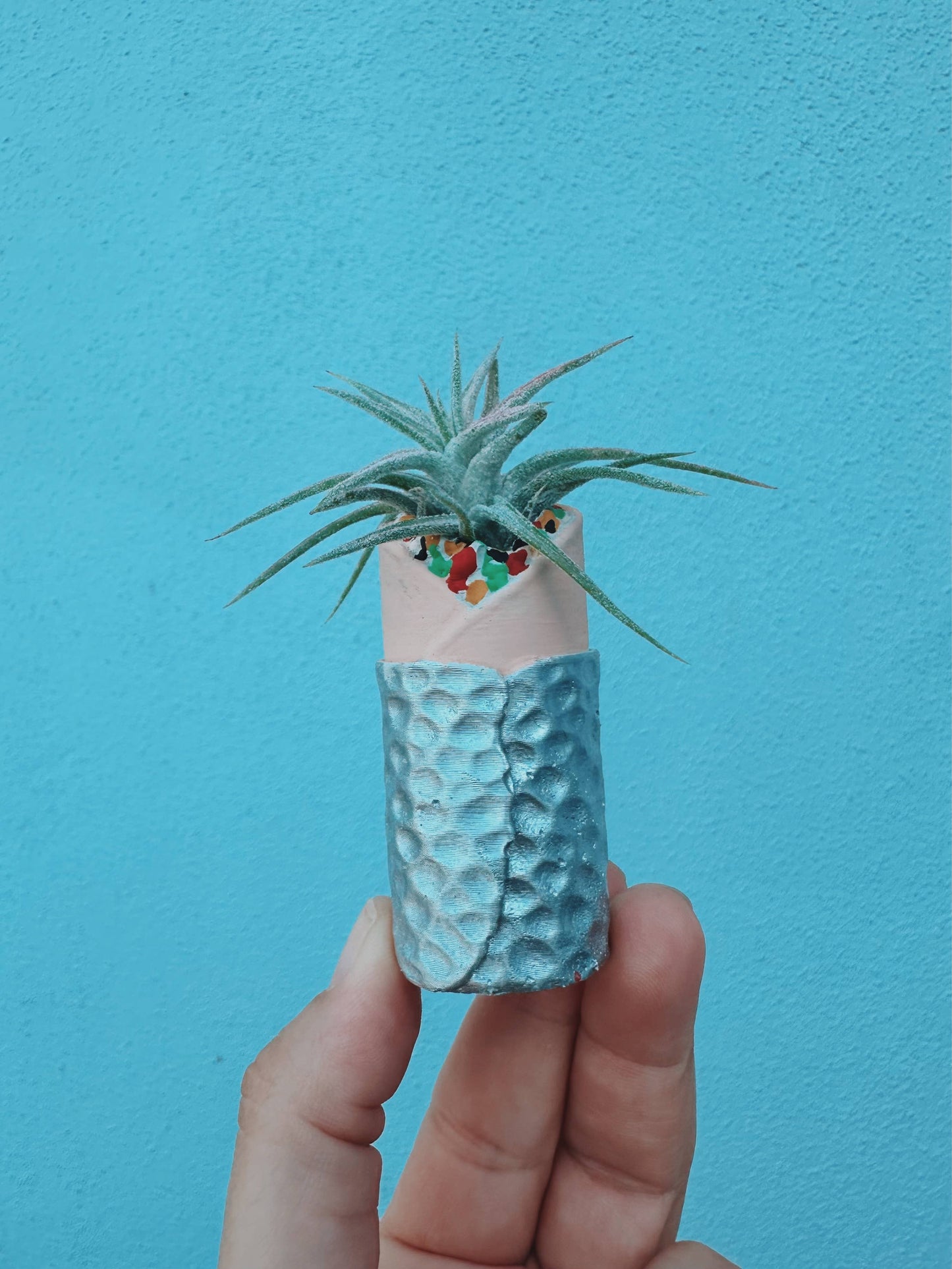 Burrito Mini Plant Pot with Plant