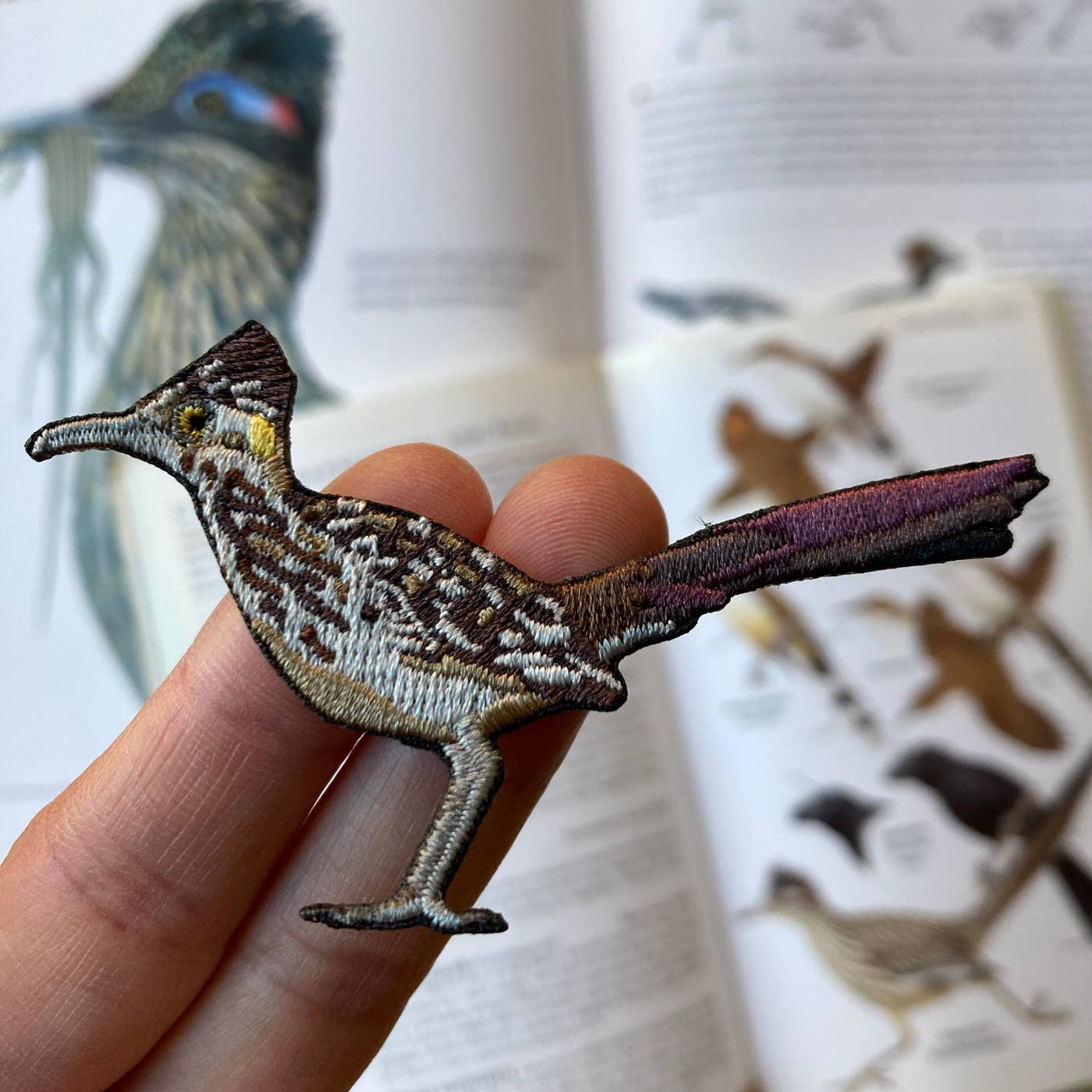 Greater Roadrunner Patch