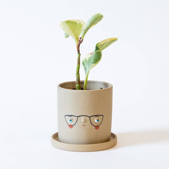 Four-Eyes Faceplanter - Sand, Medium
