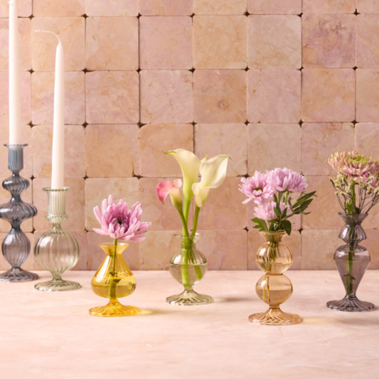 Nalia Budvase, Dandelion