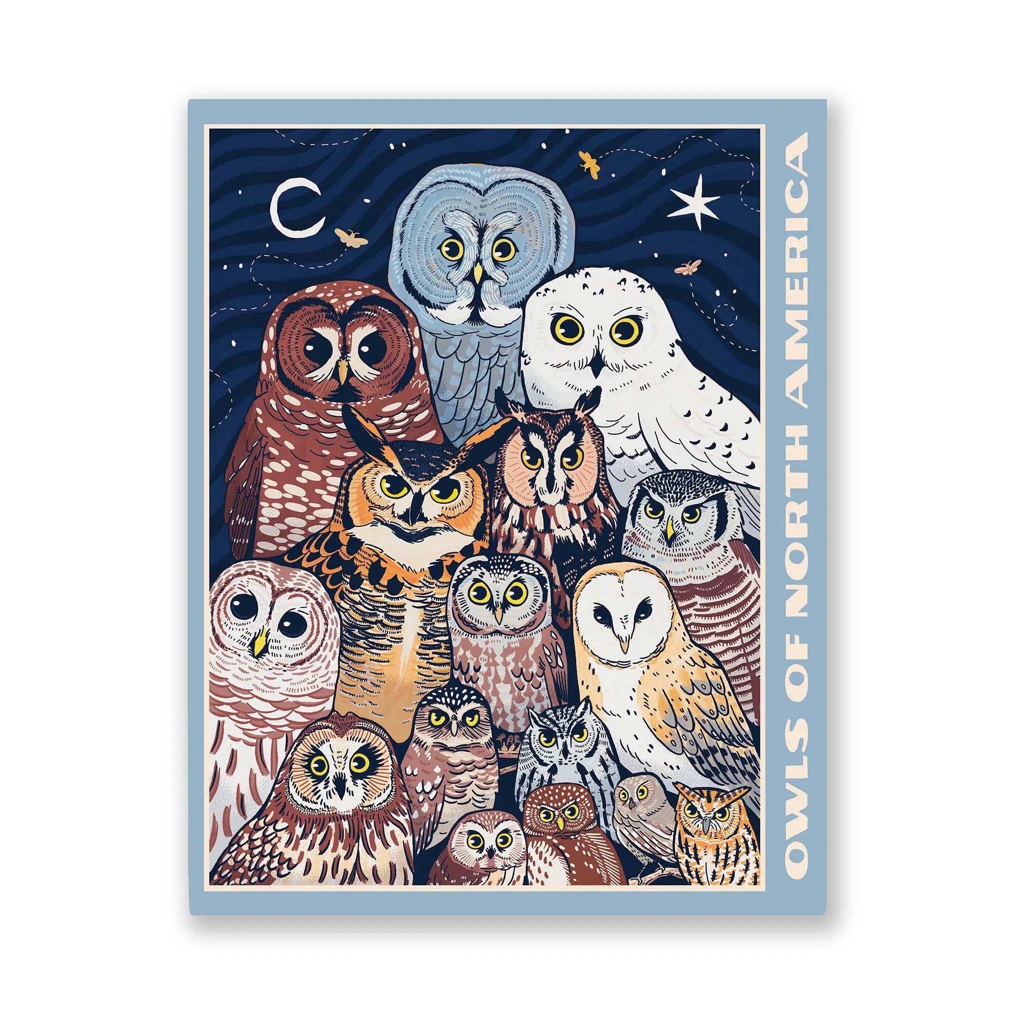 Owls of North America Puzzle – Small Batch