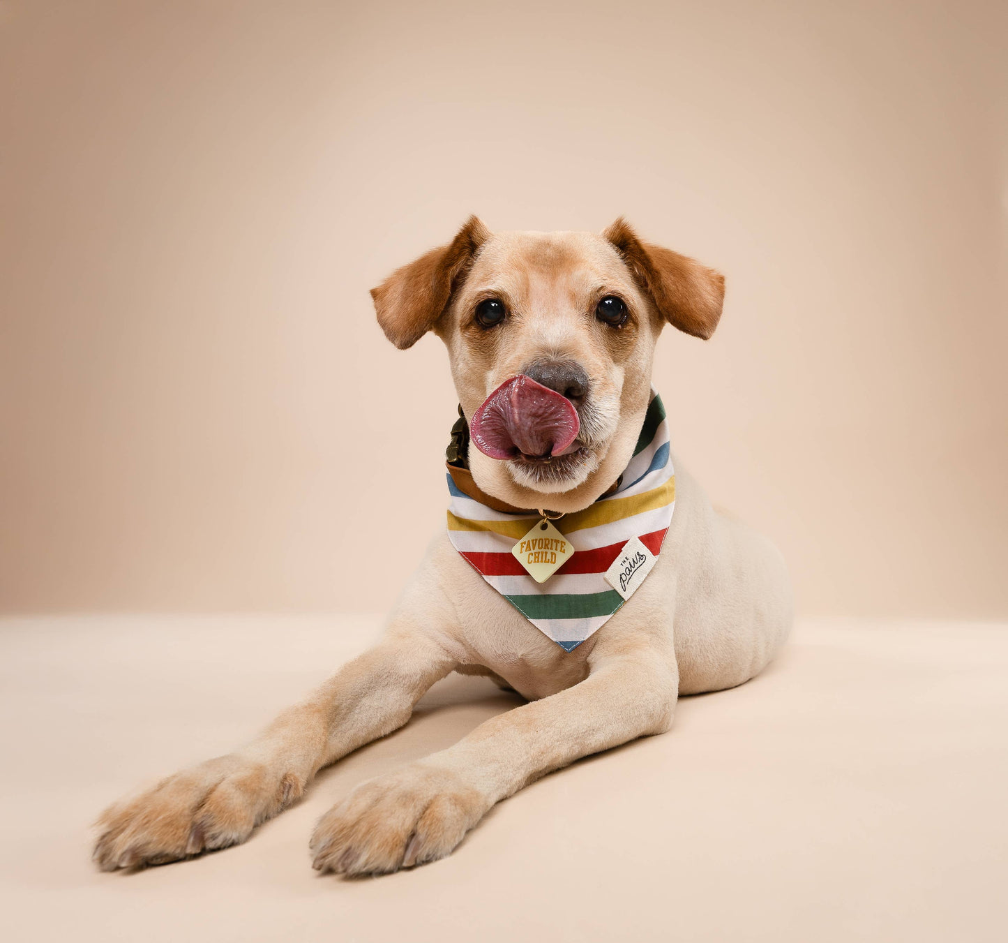 Frontier Dog Bandana: M