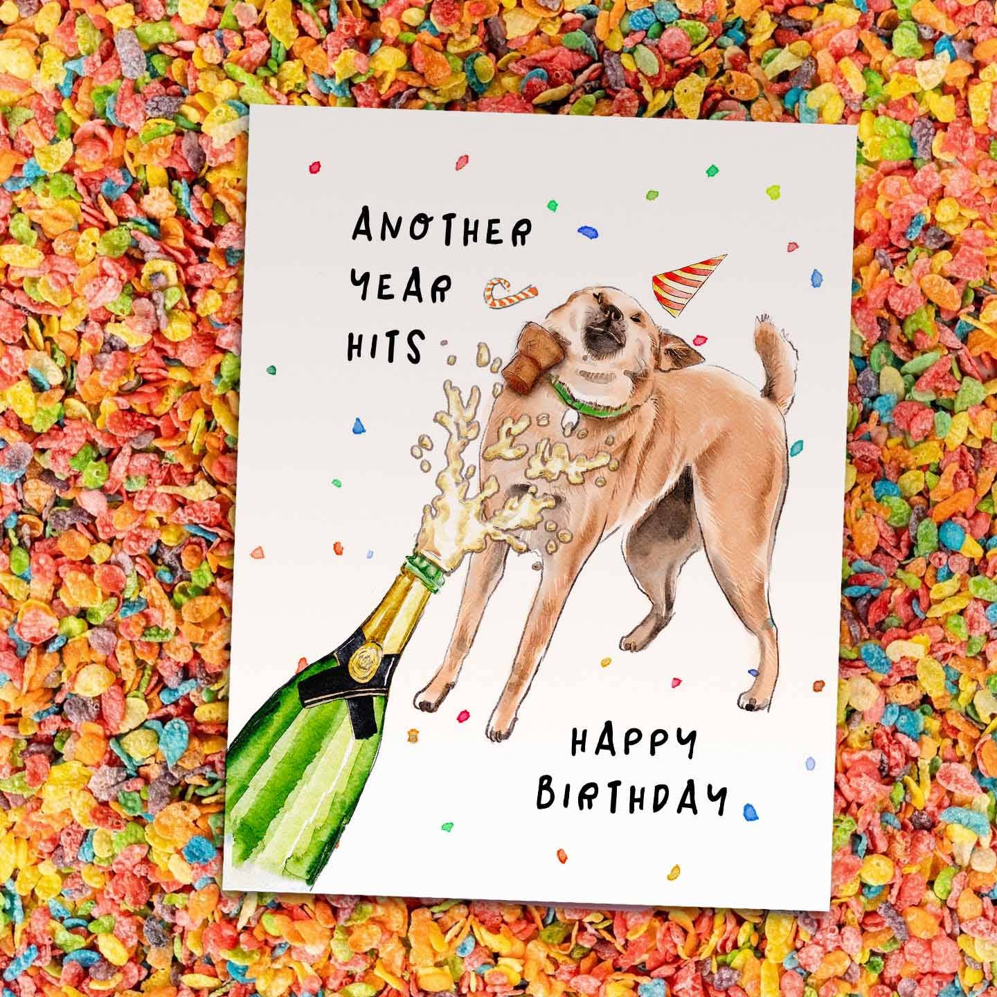 Another Year Hits Dog