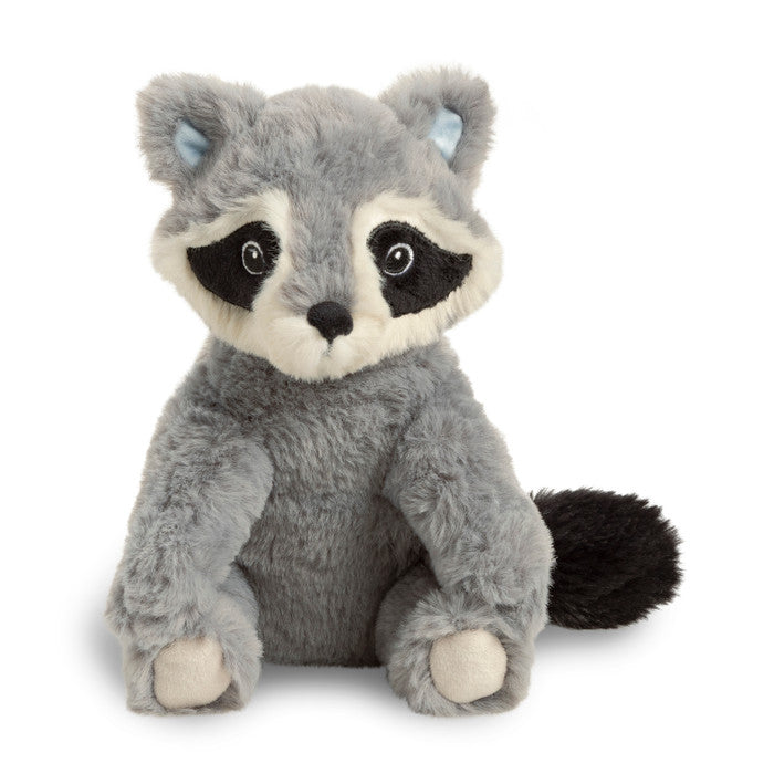 Chasing Dreams Raccoon