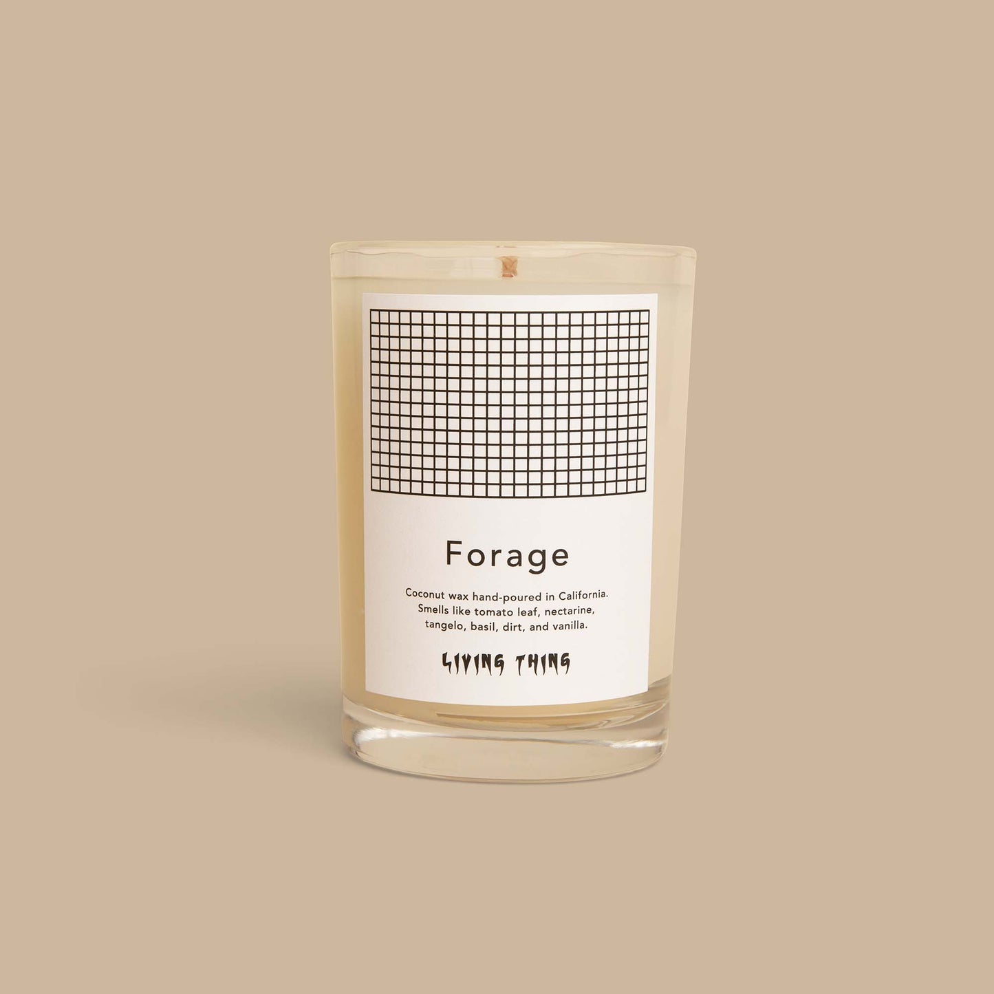 Forage Candle | Tomato Leaf, Dirt & Vanilla