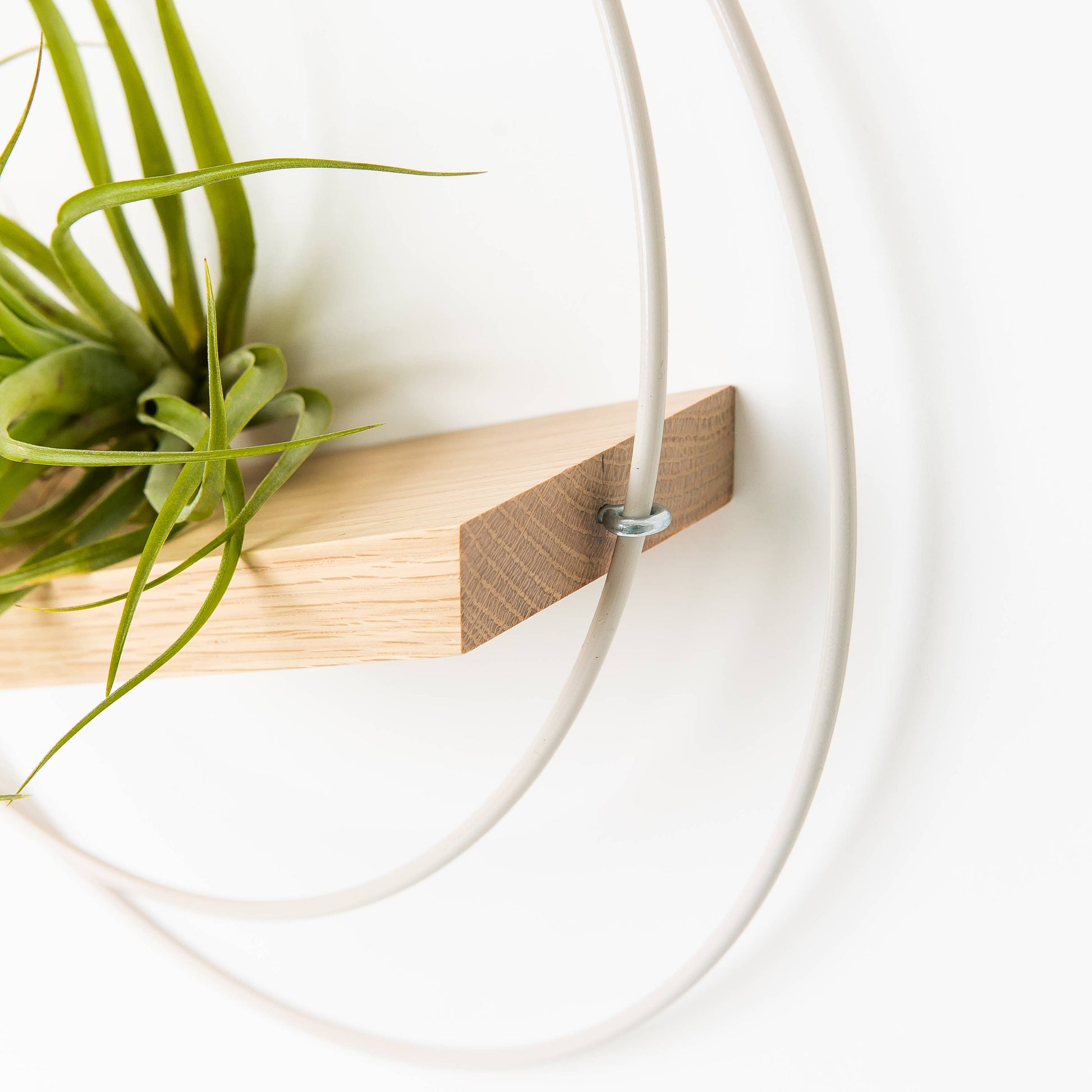 braid and wood plant hanger Small White V-Hanger Air Plant Holder – Small Batch