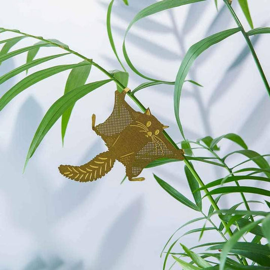 Plant Animal | Flying Squirrel