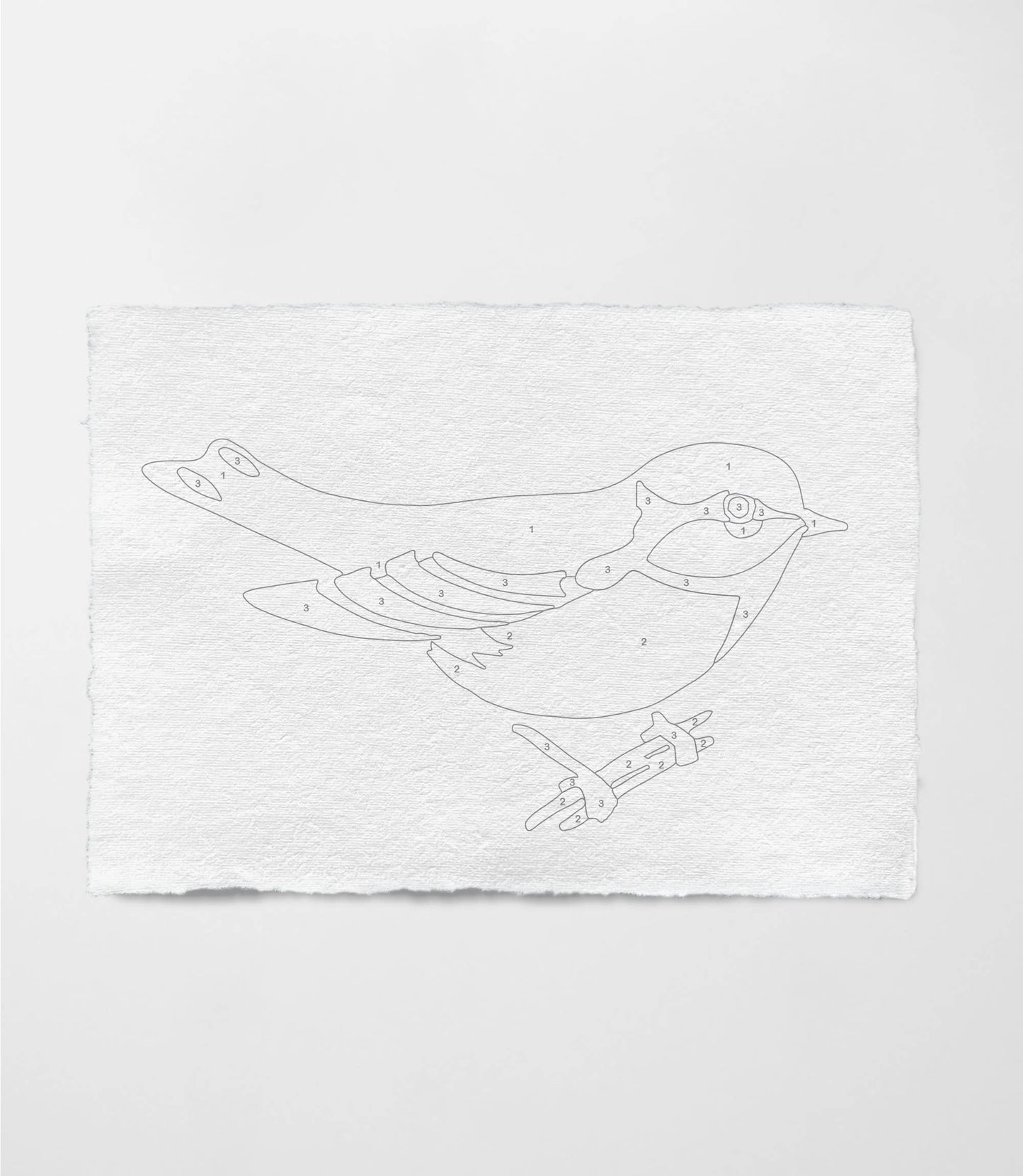 Bird Study : Goldfinch  |  Modern Paint By Numbers Kit