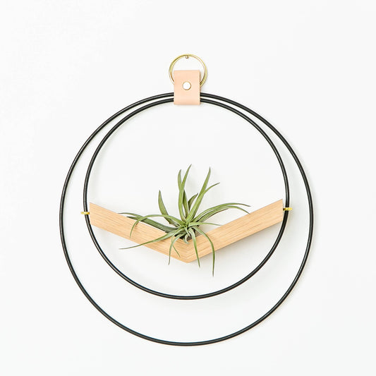Small Black Mixed Metal V-Hanger Air Plant Holder
