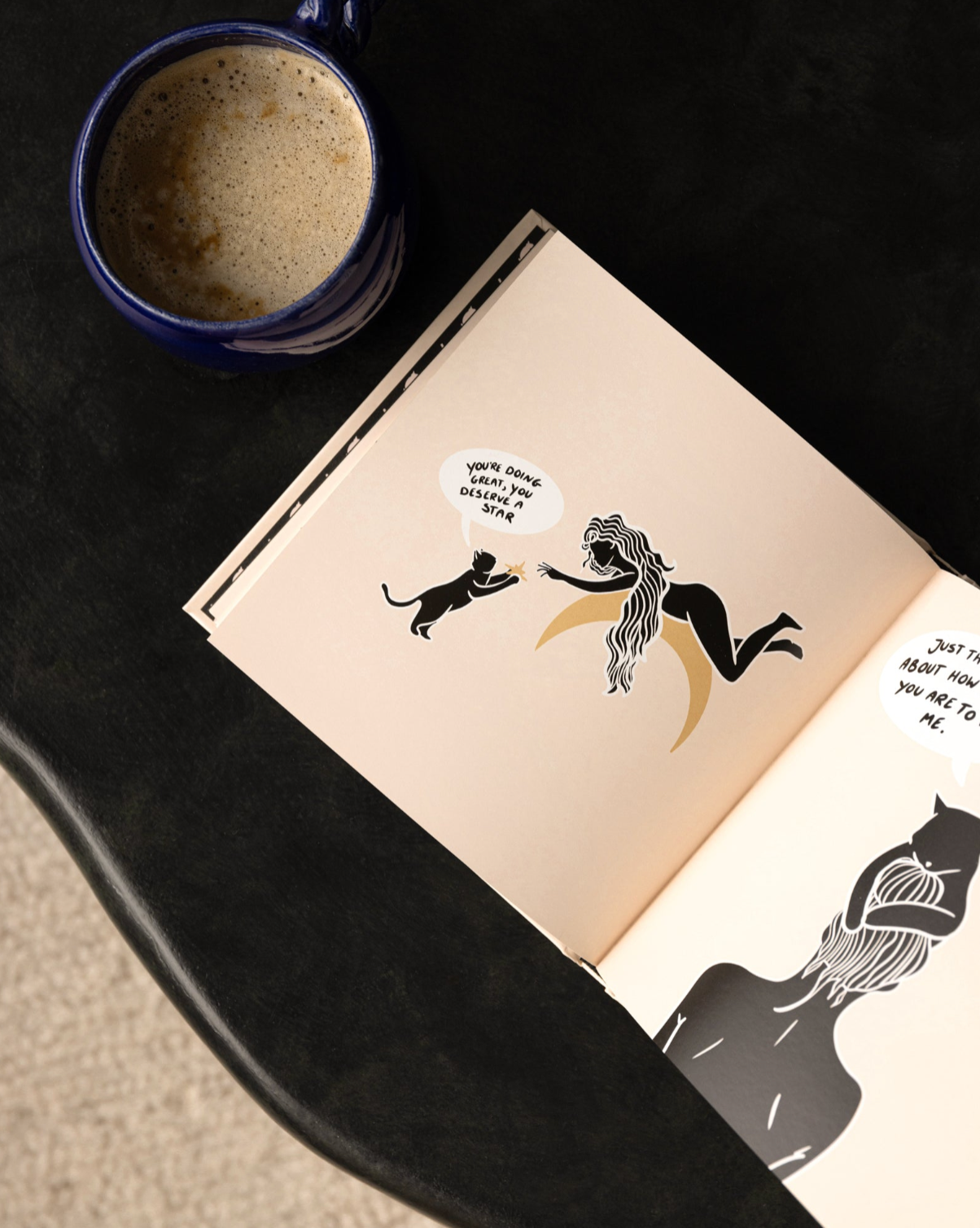 Conversations With My Cat Illustrated Book