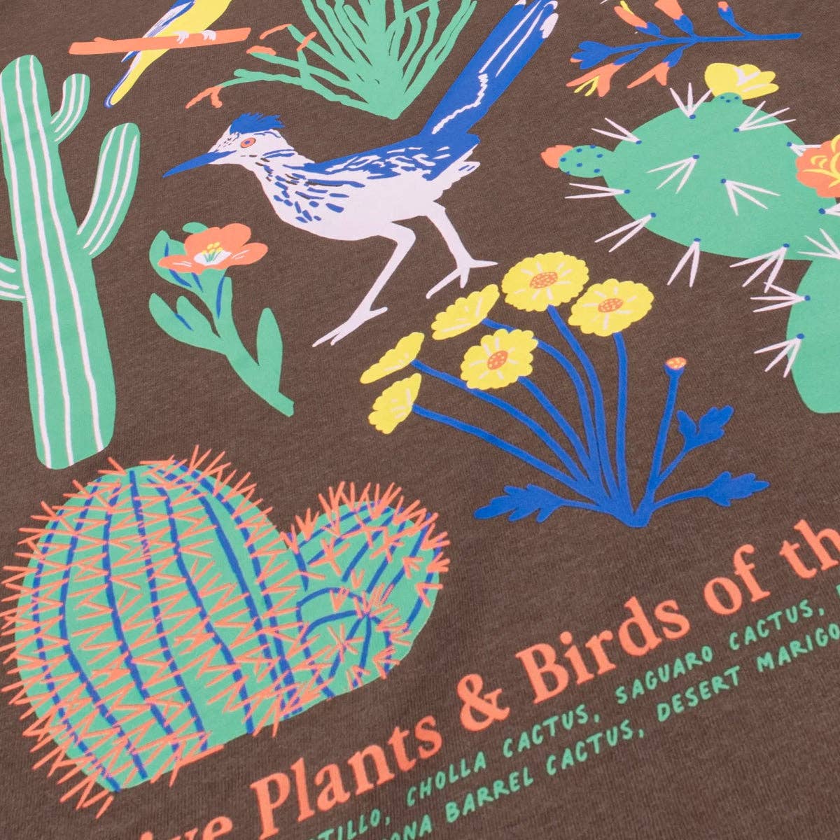 Southwestern Natives T-Shirt: Brown / XL