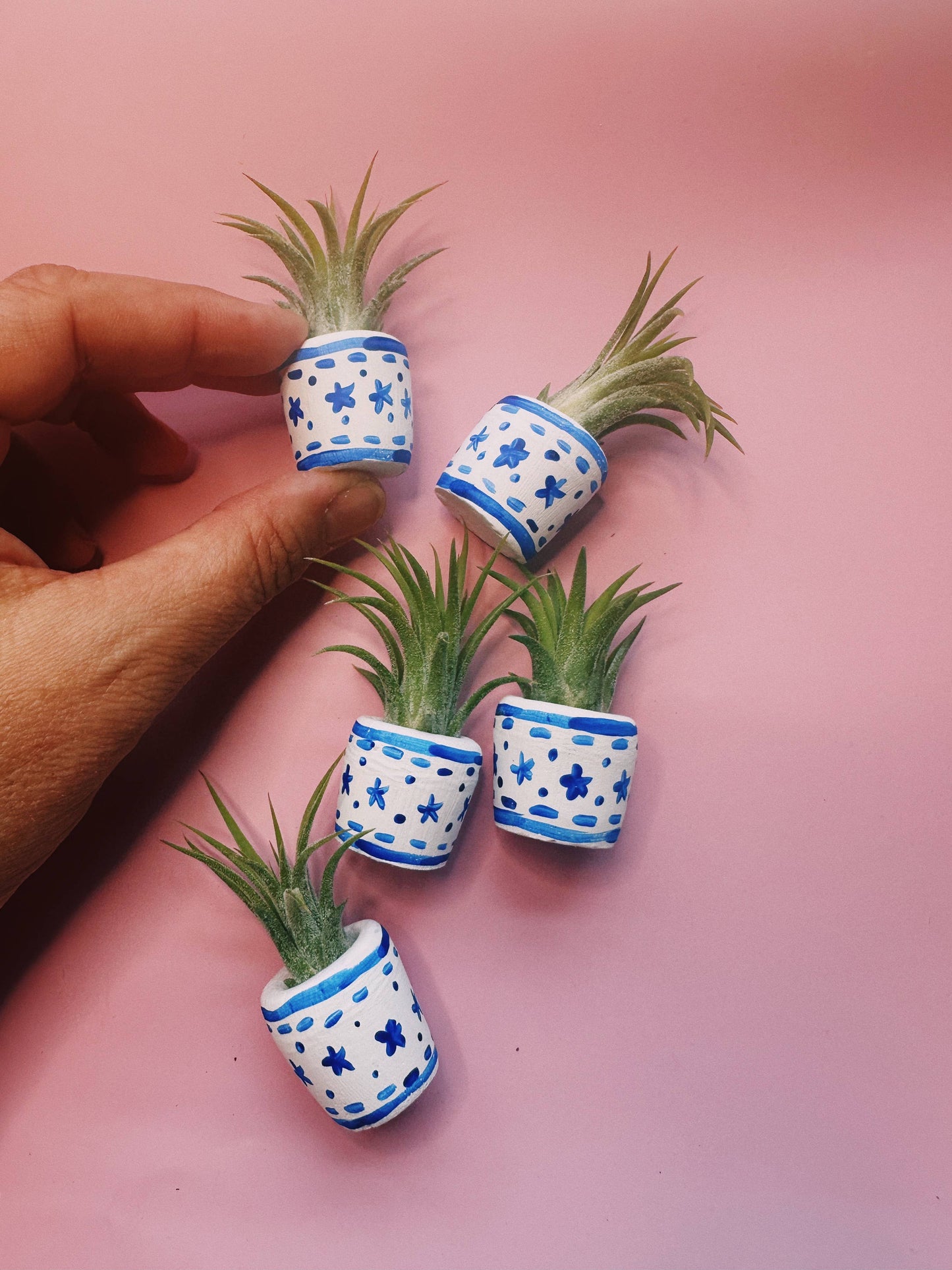 Blue & White Baby Planter