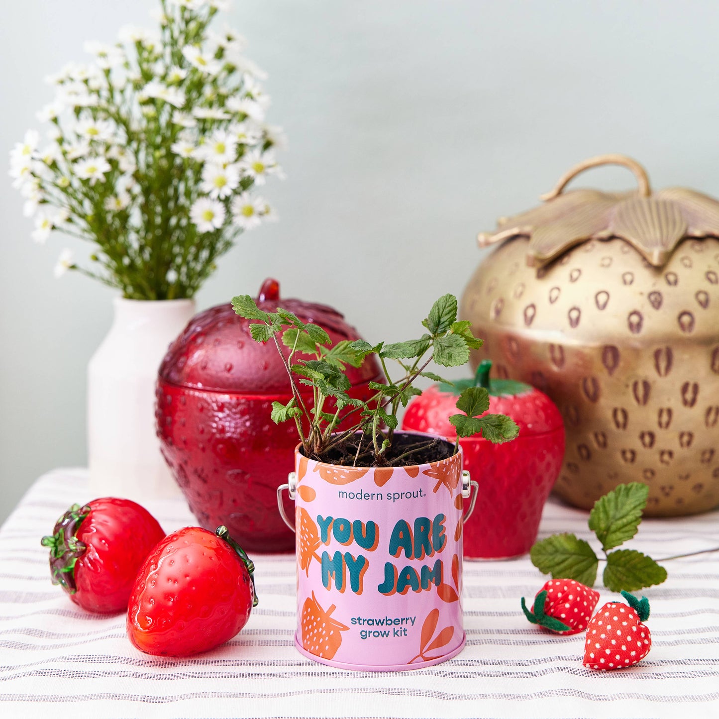 Color Grow Kits | You are My Jam