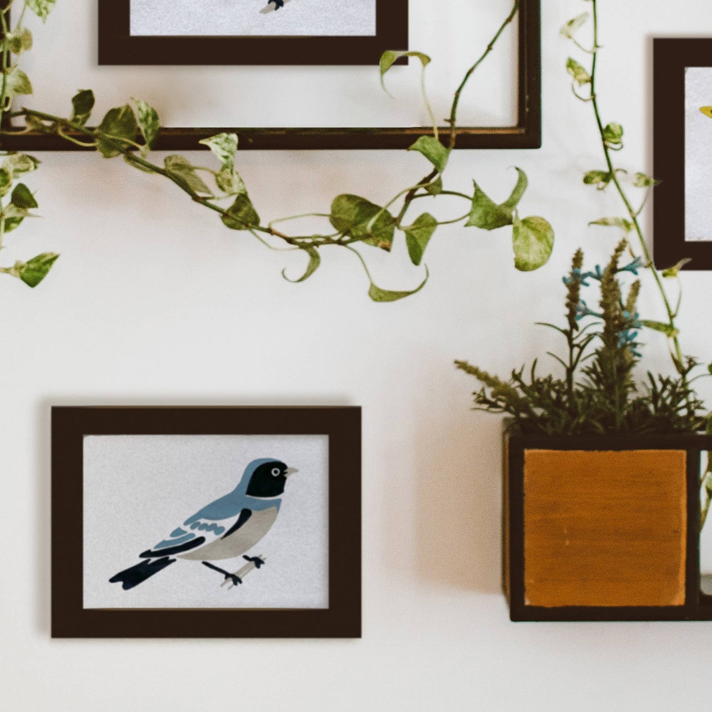 Bird Study : Swallow  |  Modern Paint By Numbers Kit