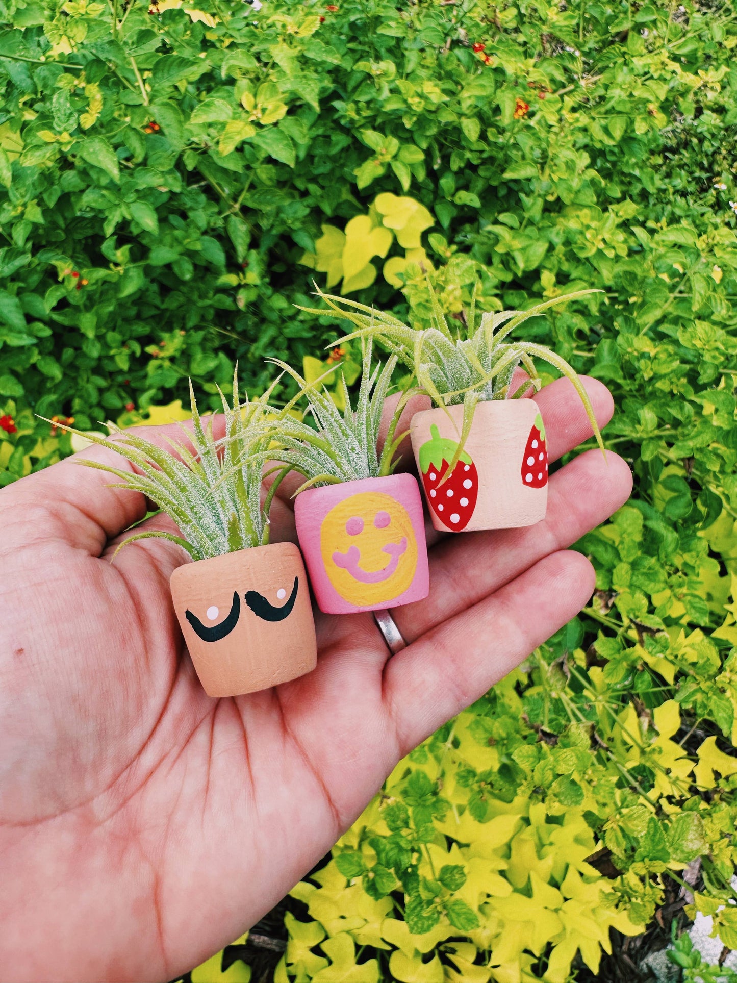 Berry Cute Mini Plant Pot with Plant