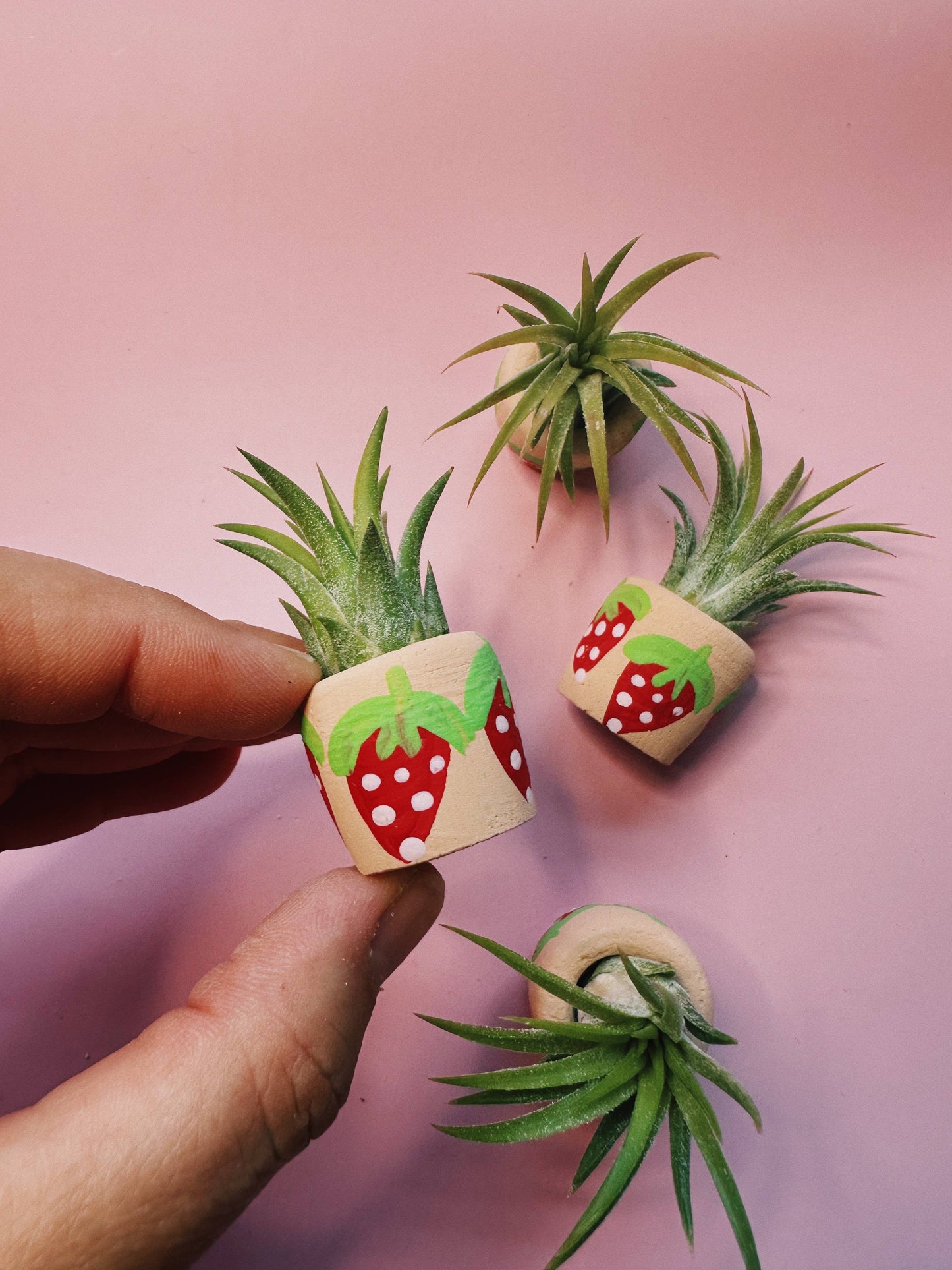 Berry Cute Mini Plant Pot with Plant