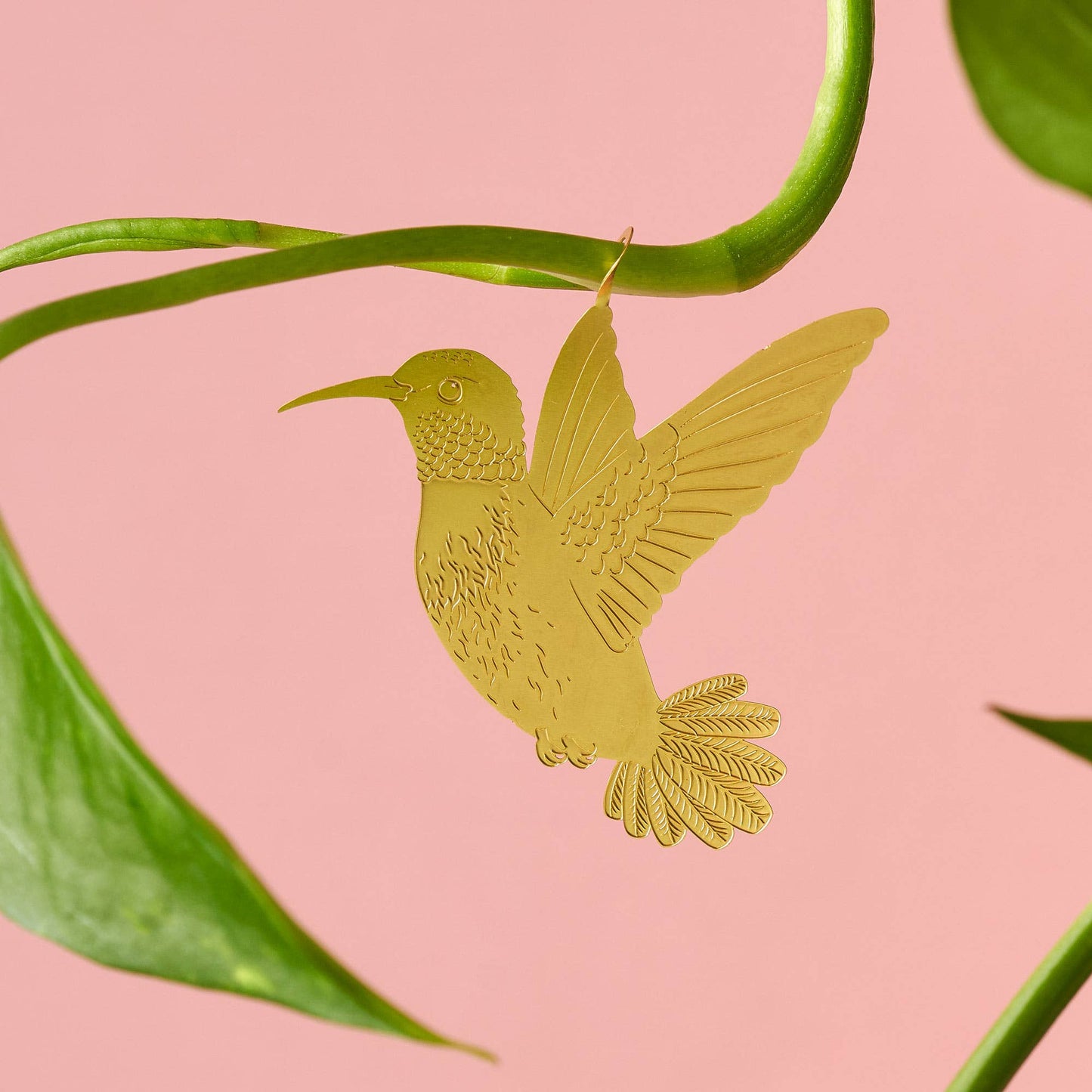 Plant Animal | Hummingbird