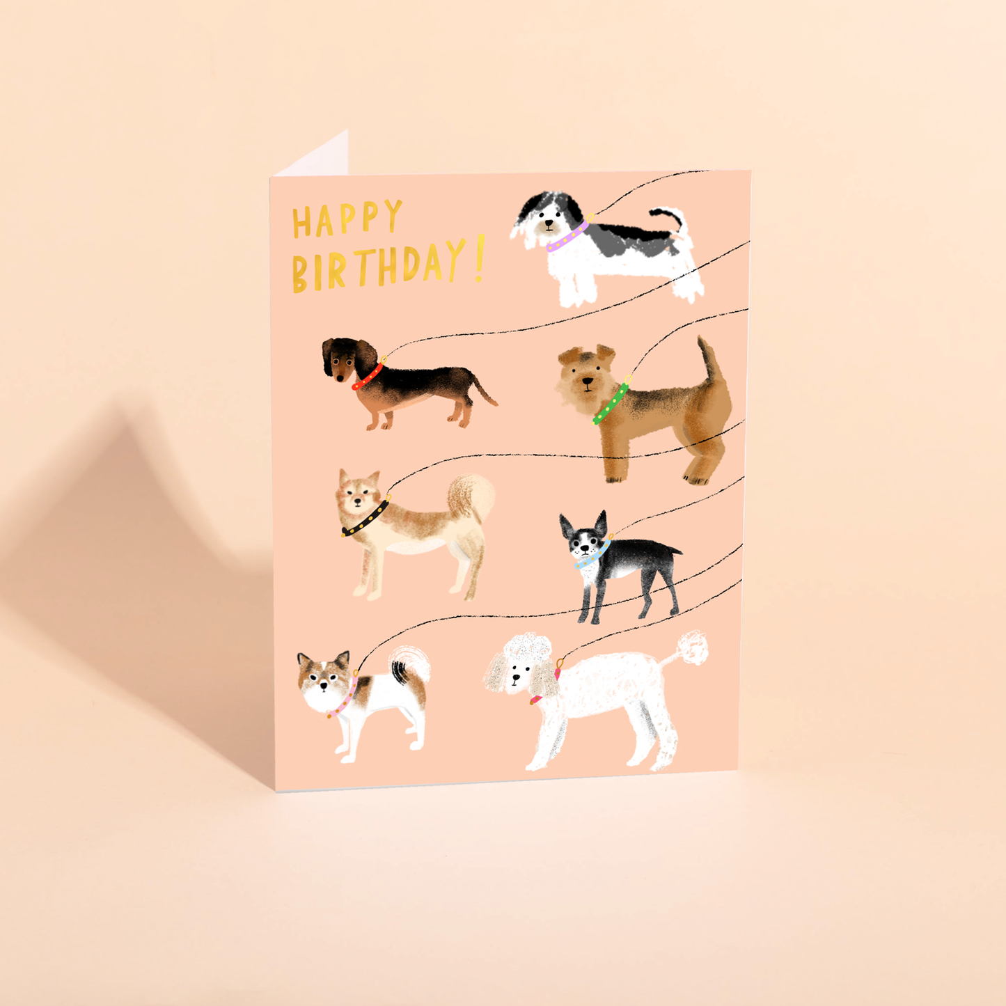 OUT FOR A WALK - Birthday Card