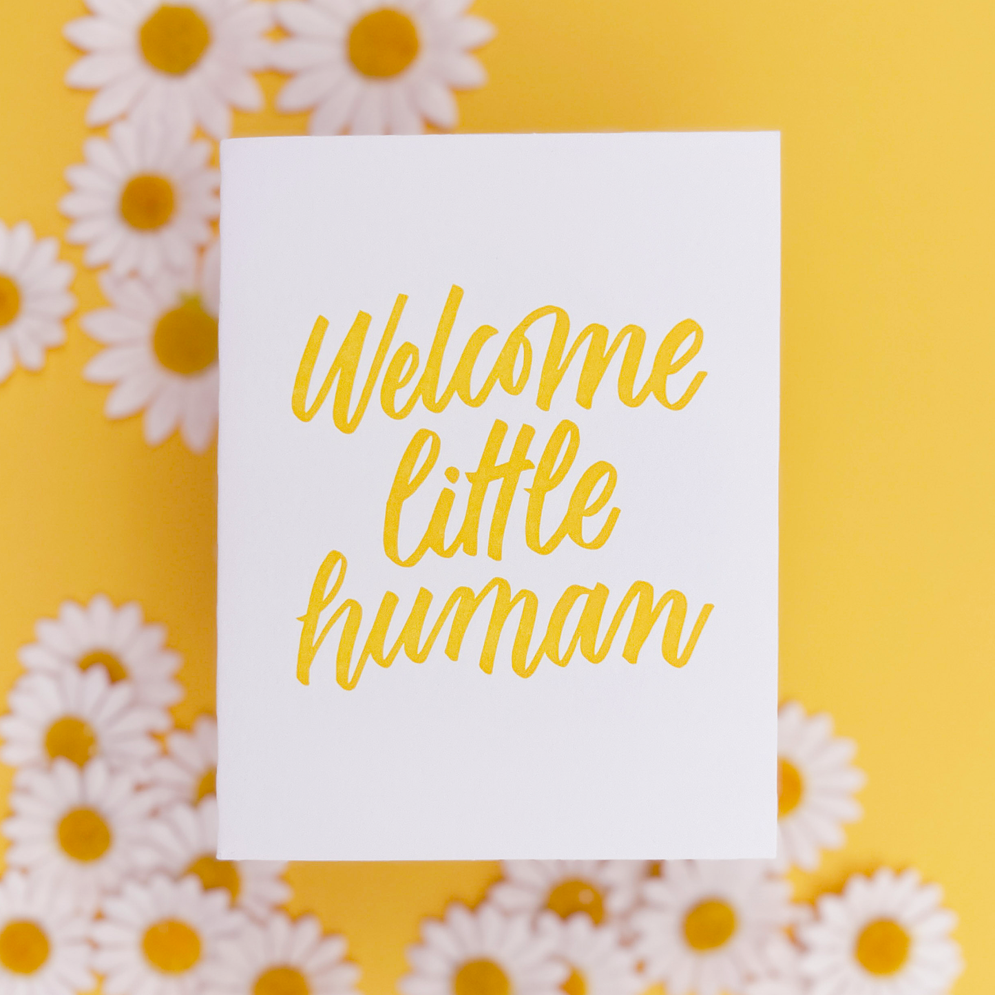 Welcome Little Human