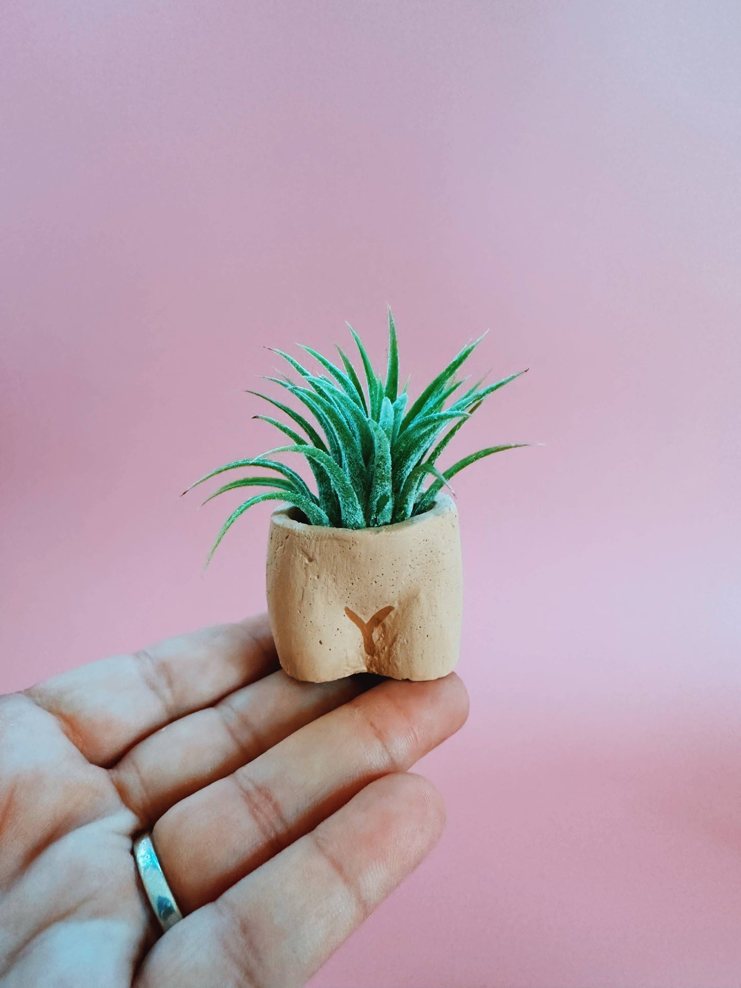 In the Nude Mini Planter with Air Plant