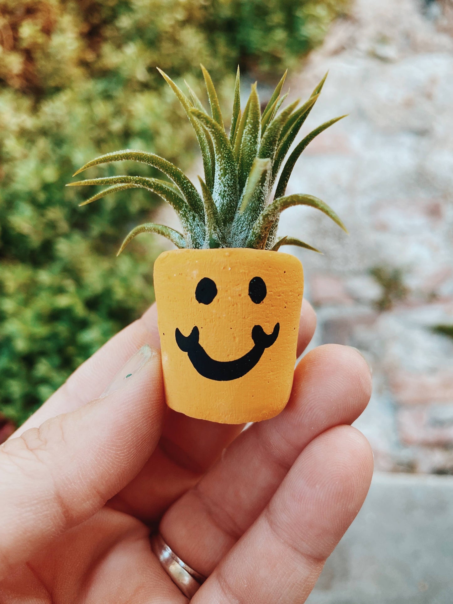 Smiley Face Mini Pot and Plant