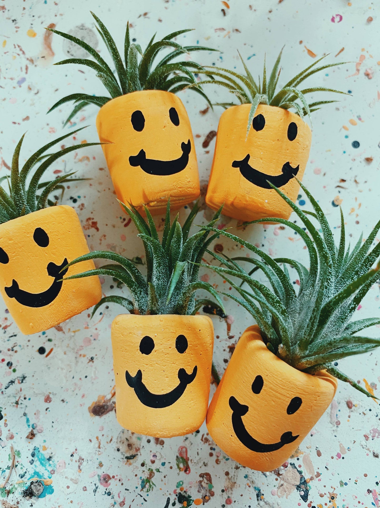Smiley Face Mini Pot and Plant